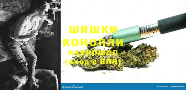 дмт Протвино