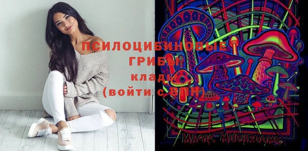 твердый Кукмор