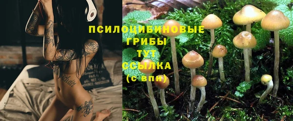 твердый Кукмор