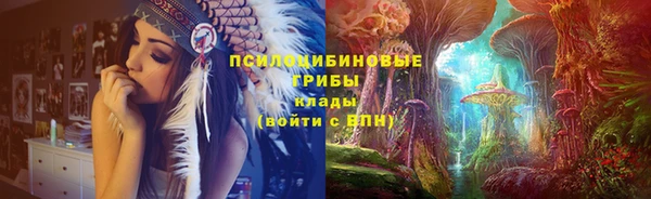 твердый Кукмор
