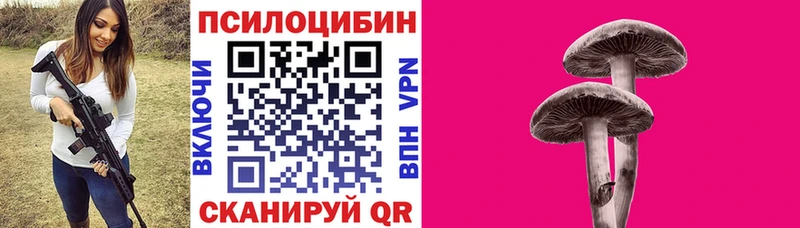 Галлюциногенные грибы Psilocybine cubensis  MEGA ONION  Протвино  наркошоп 