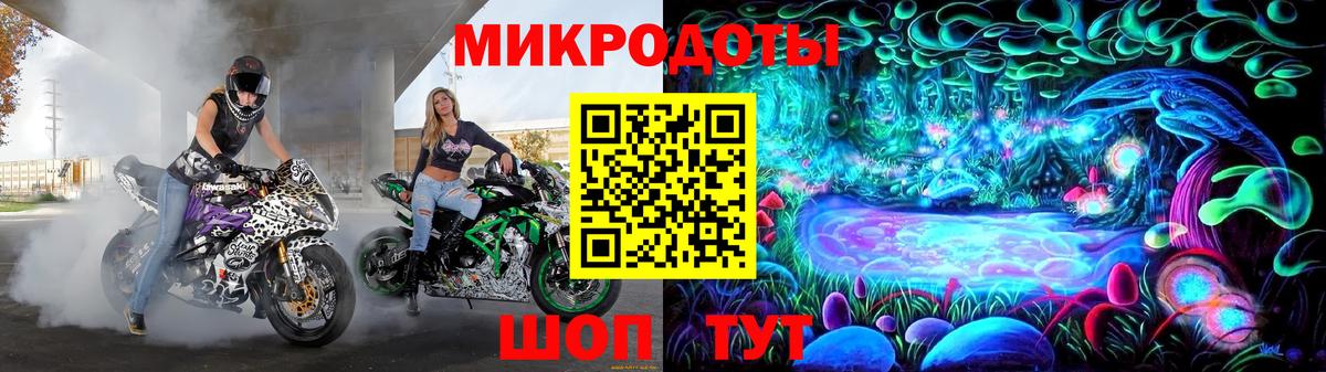 Псилоцибиновые грибы Psilocybine cubensis Протвино