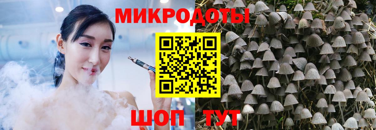 Протвино  Псилоцибиновые грибы мухоморы  Вход с VPN  Галлюциногенные грибы Magic Shrooms 
